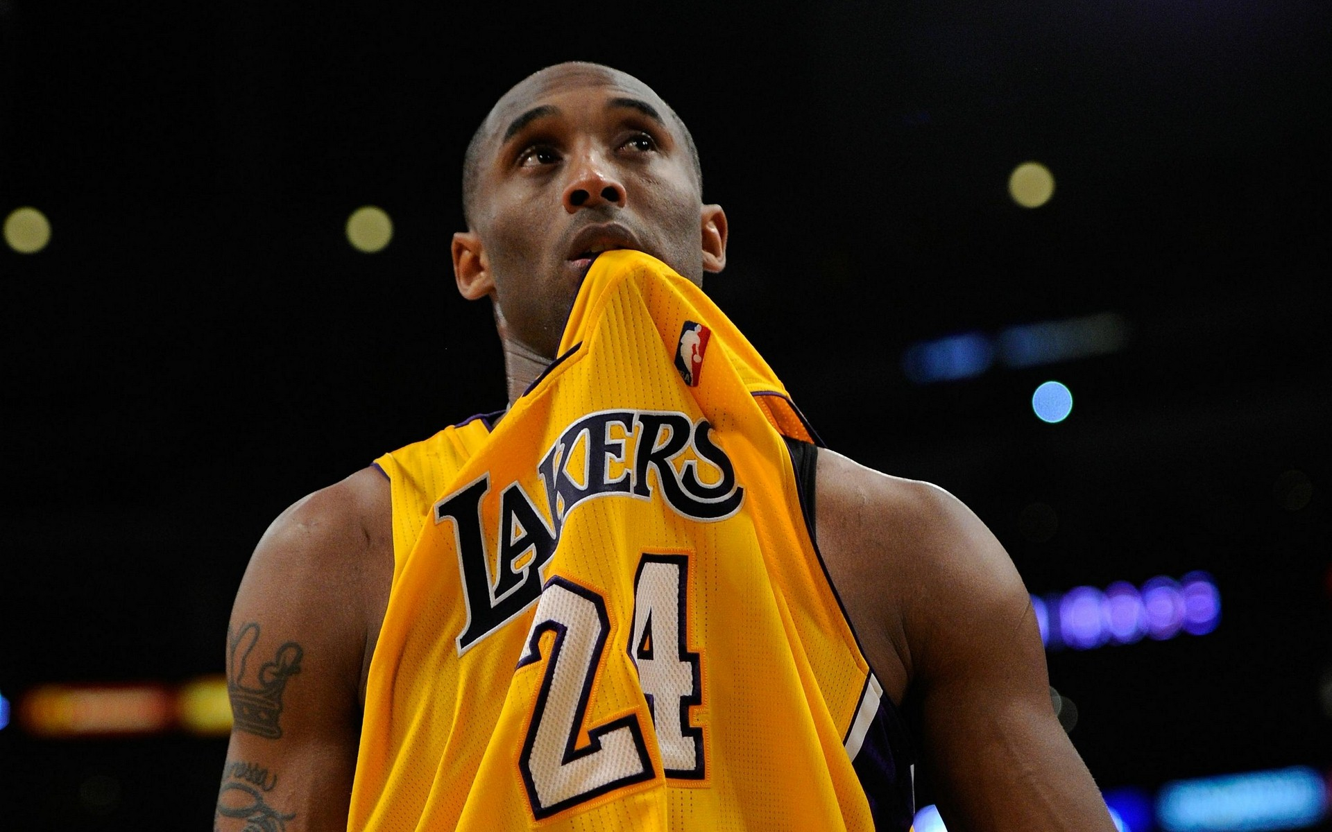 受新华网采 受新华网采